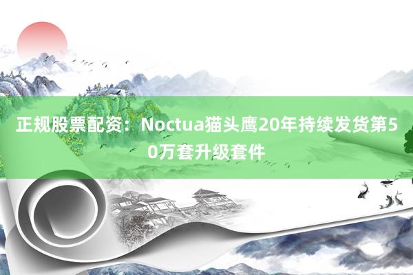 正规股票配资：Noctua猫头鹰20年持续发货第50万套升级套件