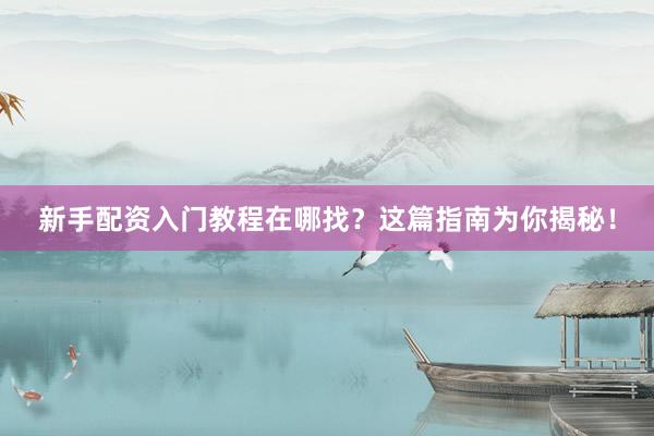 新手配资入门教程在哪找？这篇指南为你揭秘！