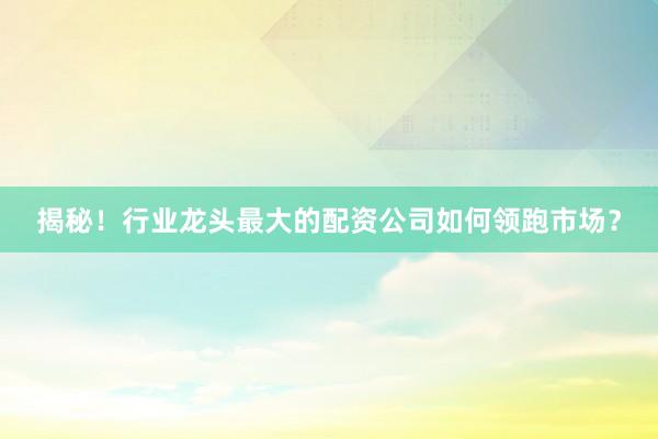 揭秘！行业龙头最大的配资公司如何领跑市场？