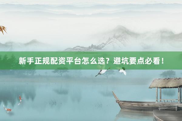 新手正规配资平台怎么选？避坑要点必看！