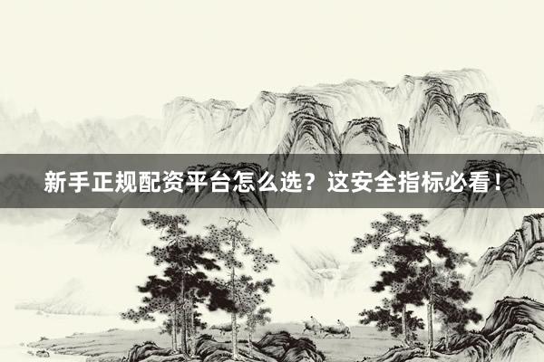 新手正规配资平台怎么选？这安全指标必看！