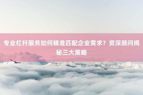 专业杠杆服务如何精准匹配企业需求？资深顾问揭秘三大策略