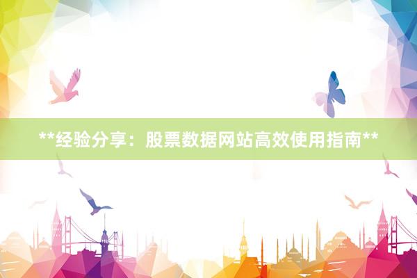 **经验分享：股票数据网站高效使用指南**