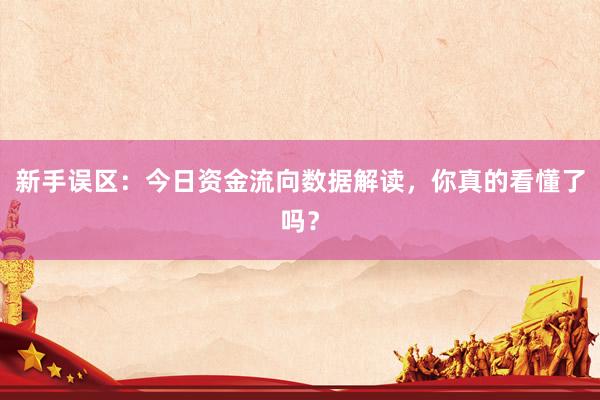 新手误区：今日资金流向数据解读，你真的看懂了吗？