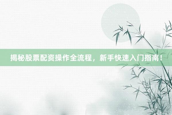 揭秘股票配资操作全流程，新手快速入门指南！