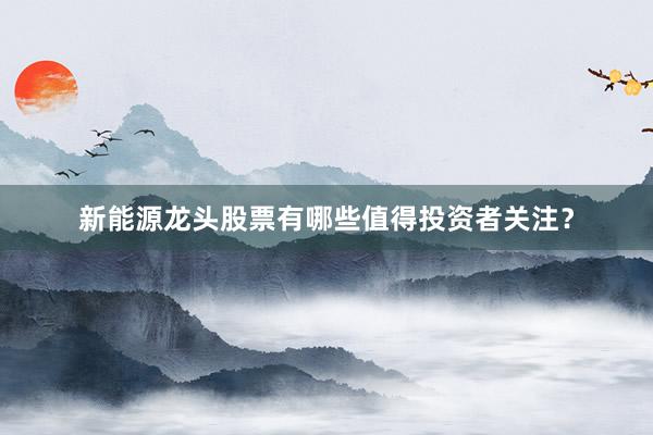 新能源龙头股票有哪些值得投资者关注？