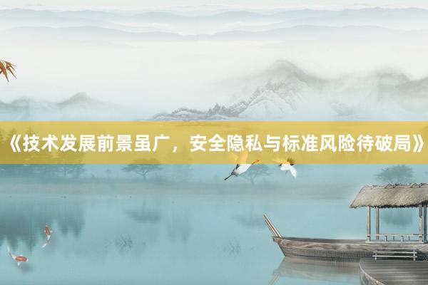 《技术发展前景虽广，安全隐私与标准风险待破局》