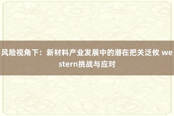 风险视角下：新材料产业发展中的潜在把关泛攸 western挑战与应对