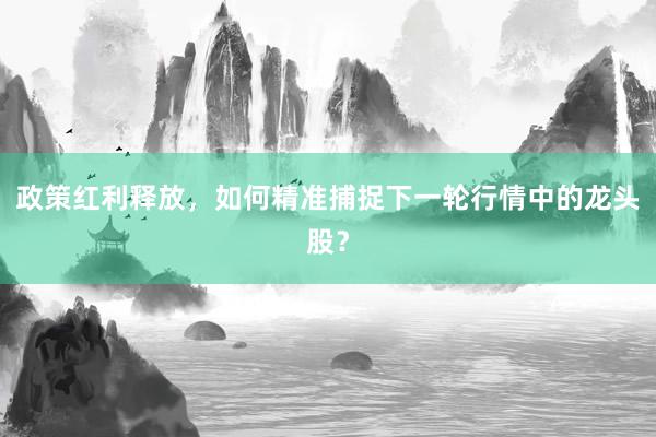 政策红利释放，如何精准捕捉下一轮行情中的龙头股？