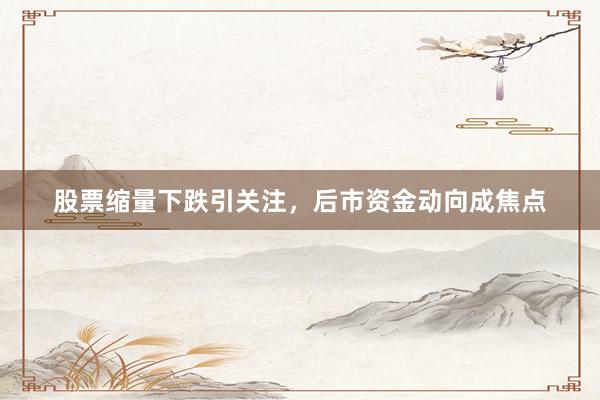 股票缩量下跌引关注，后市资金动向成焦点